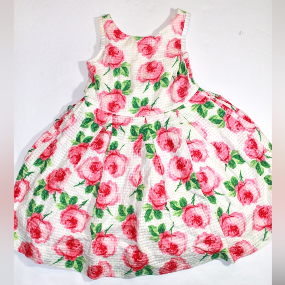 Janie and Jack Girls Rose Dress